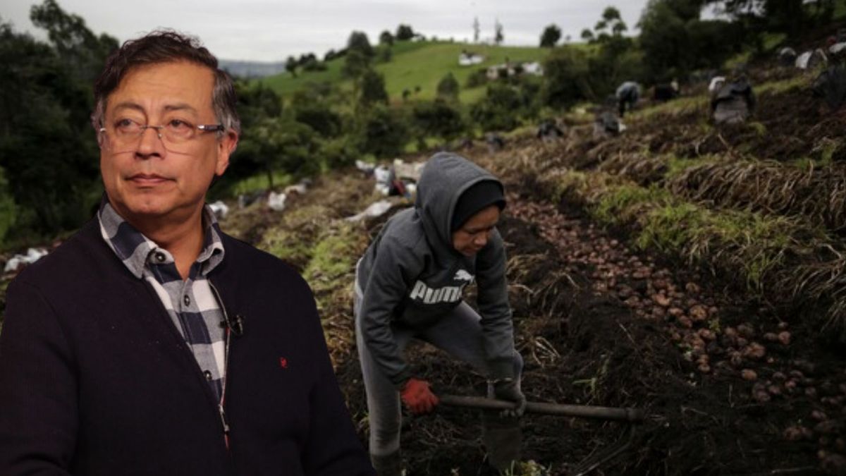 Petro fertilizantes baratos para que el campesino ahorre