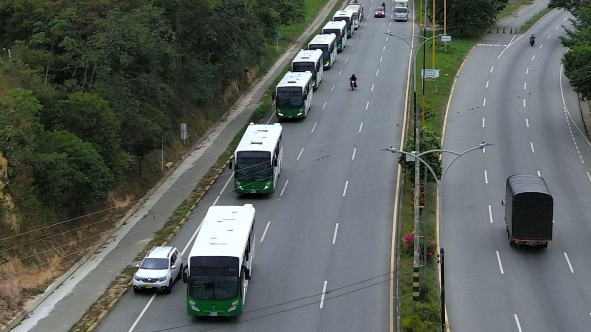 Buses padrones de Metrolínea