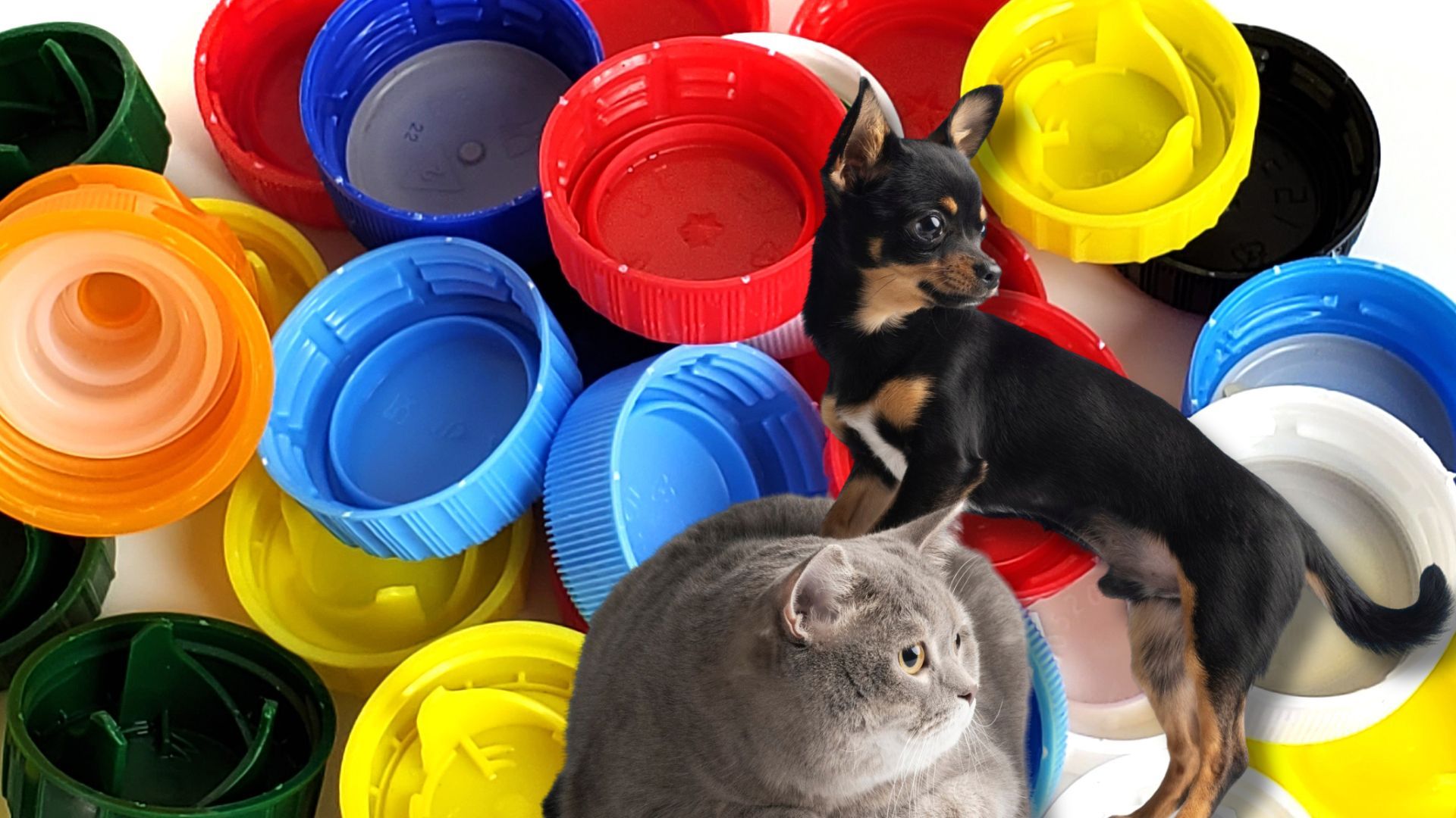 ¿Dónde y cuándo será la Tapatón en Bogotá?