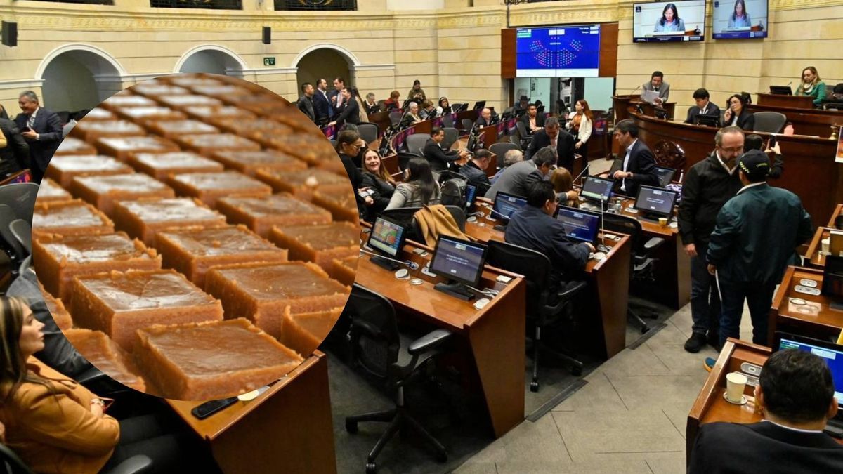 Proyecto de ley pro paneleros