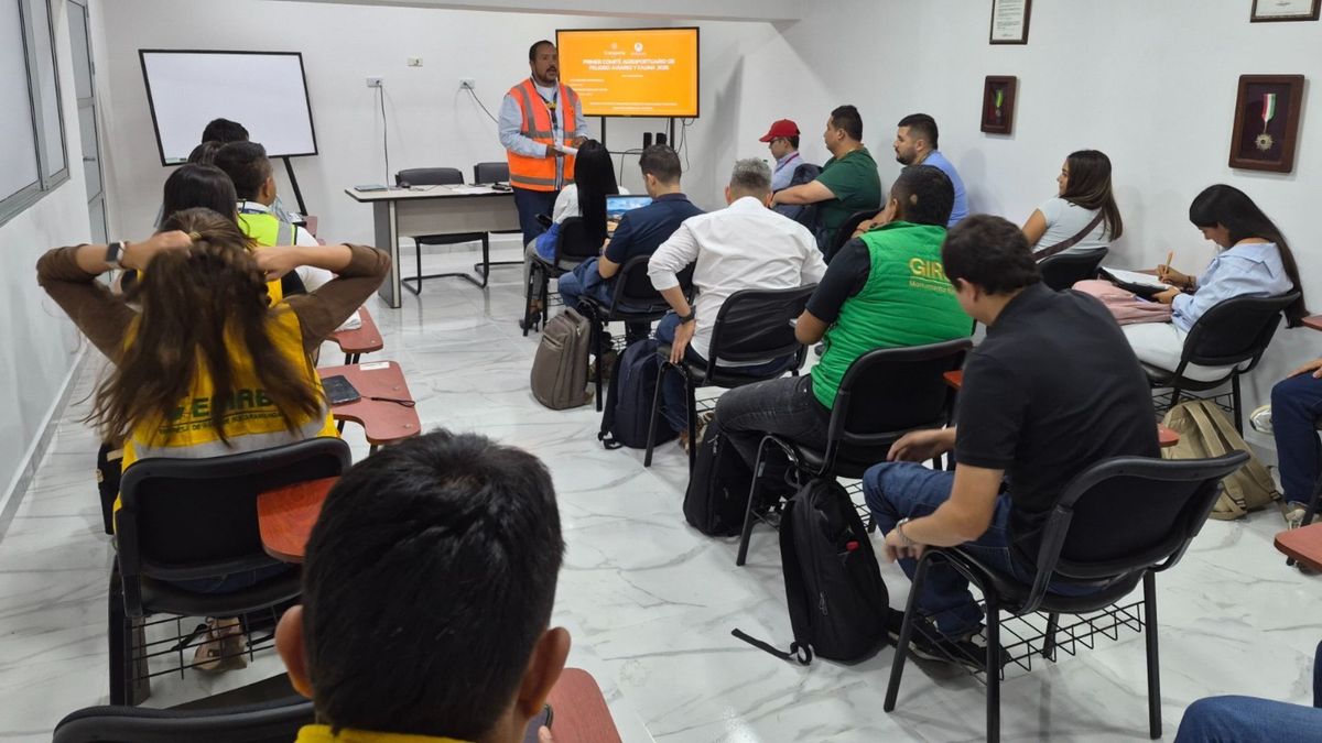 Comité Aerocivil - Cdmb