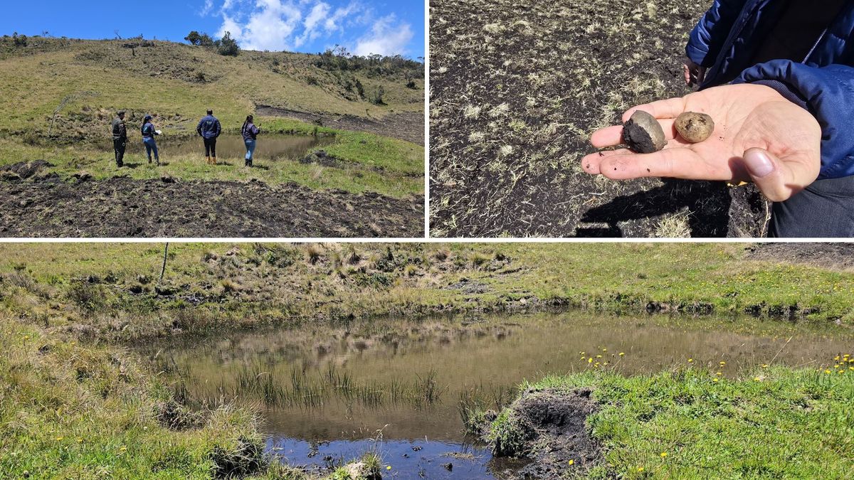 Páramo de Merchán: clave para el abastecimiento de agua en Boyacá