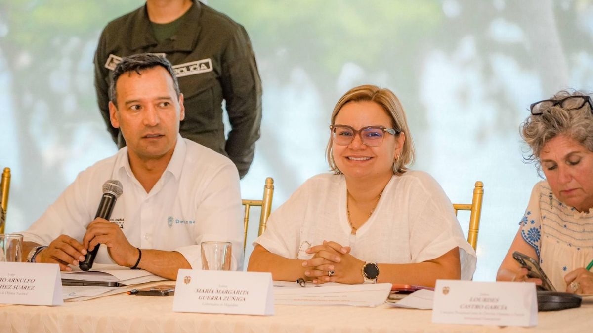 Consejo de Seguridad en Santa Marta