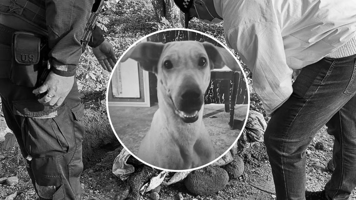 Caso Kira en Bucaramanga: denuncias se habían hecho desde hace 18 meses