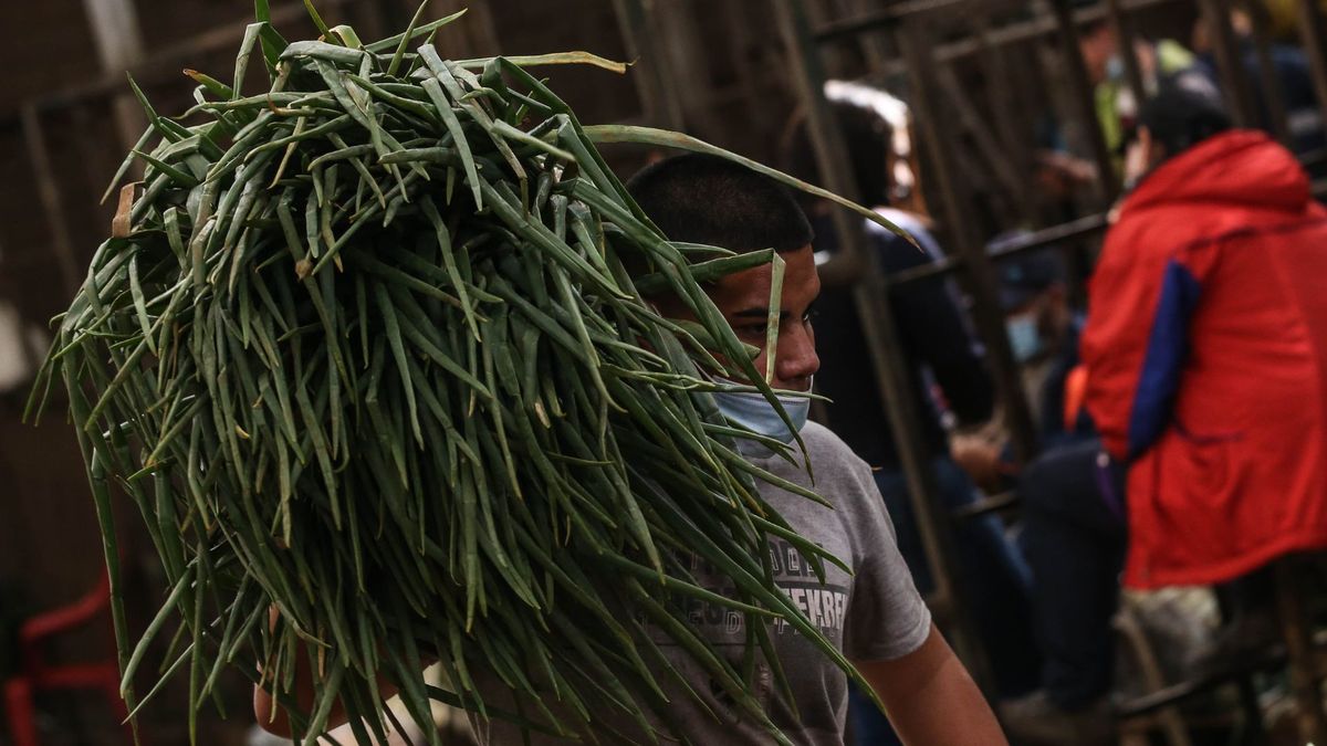 Trabajador de Corabastos cargando bulto de cebolla larga