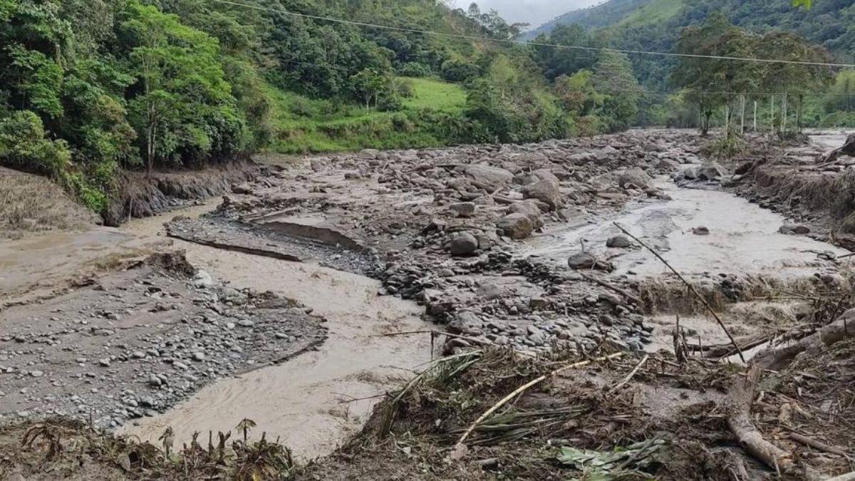 Puentes arrasados por la ola invernal en Risaralda