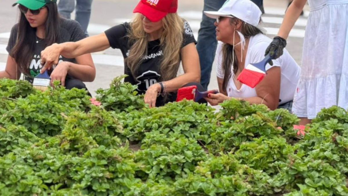 Basureros transformados