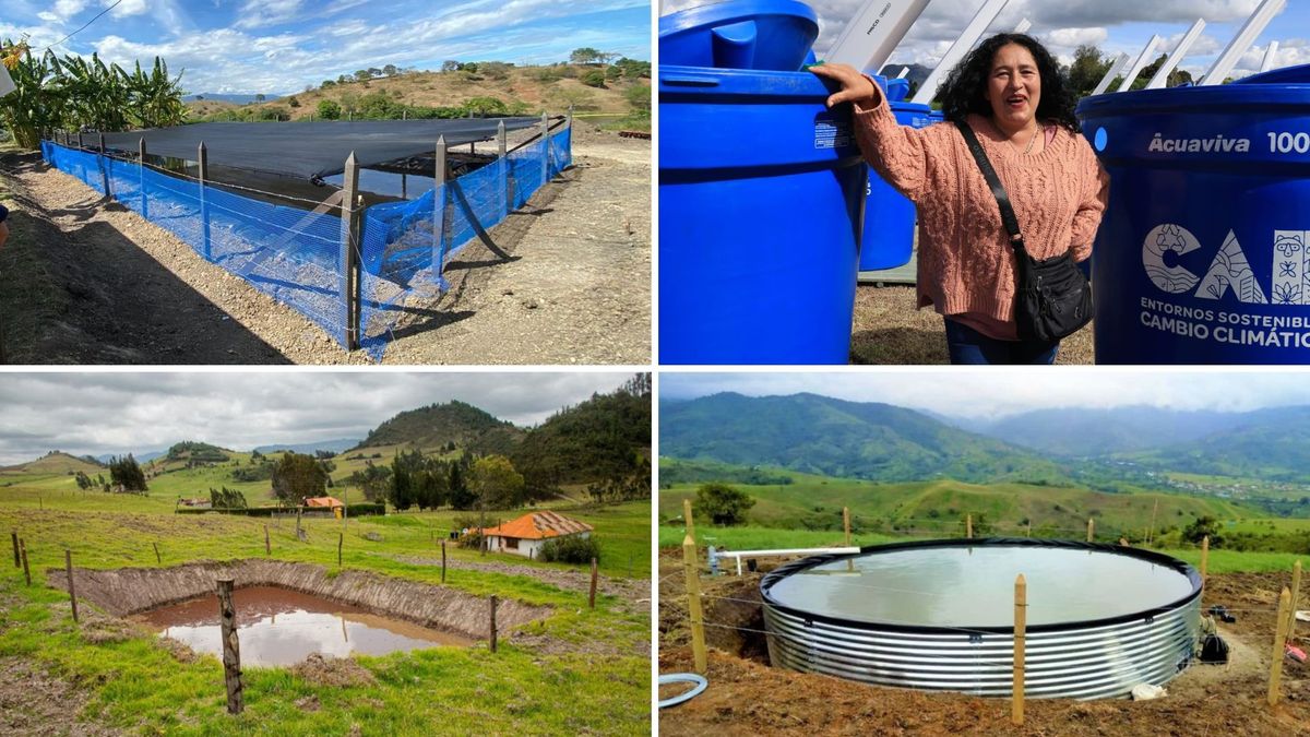 Sectores como la agricultura y la ganadería han tenido que lidiar con la falta de agua.