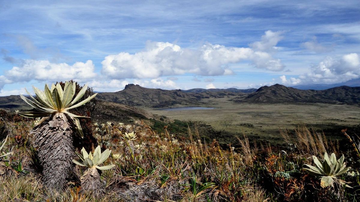 Foto panorámica del Parque Nacional Natural Puracé