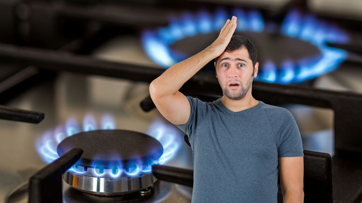 Revisión Periódica Obligatoria de gas natural - Vanti