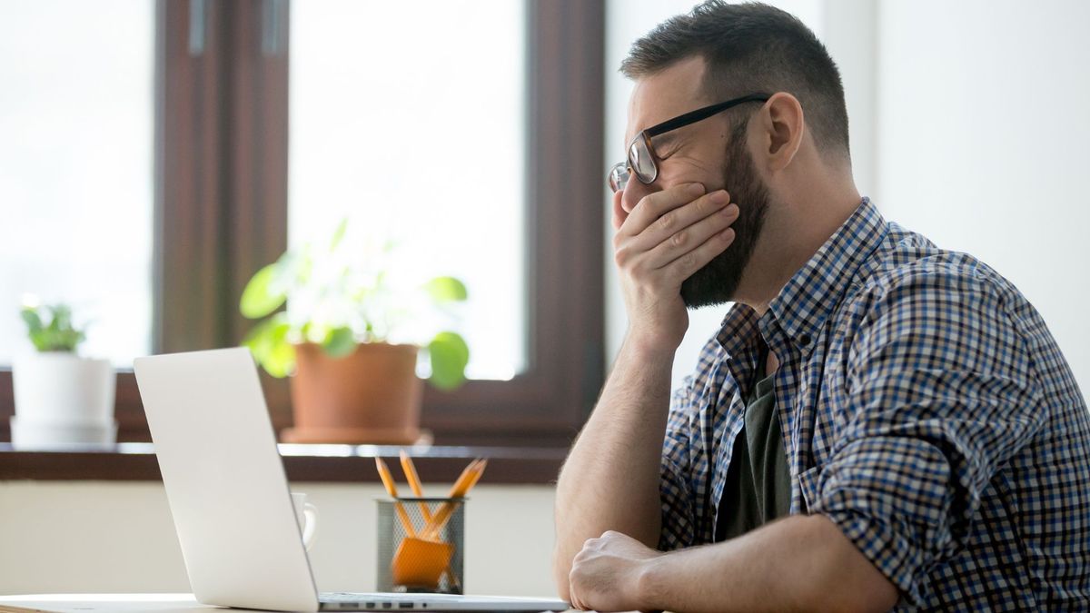 Buen clima laboral sube resultados: empleados rinden más y no se van