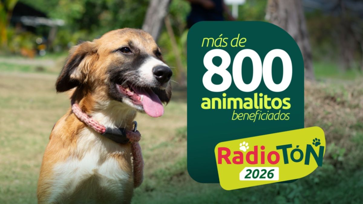 Animales beneficiados Radiotón 2026
