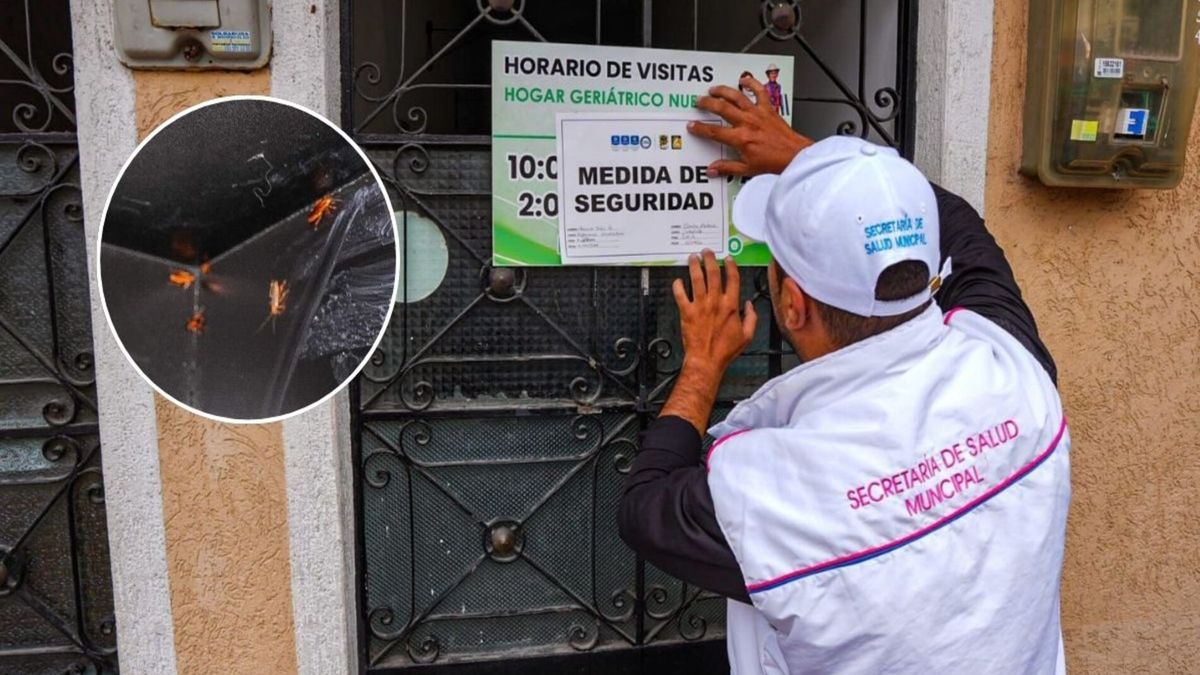 Cierre de hogar geriátrico en Ibagué | Presencia de plagas | Cucarachas | Abril 2026