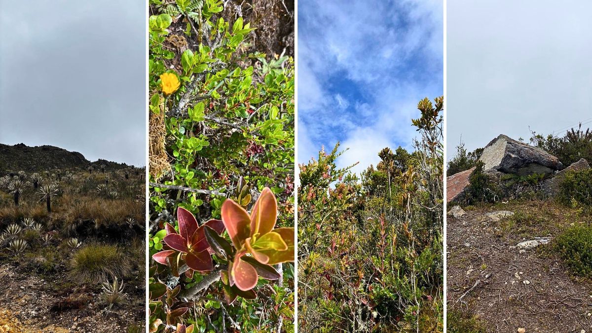 ¿Qué senderos estarán abiertos en los Cerros Orientales este fin de semana?