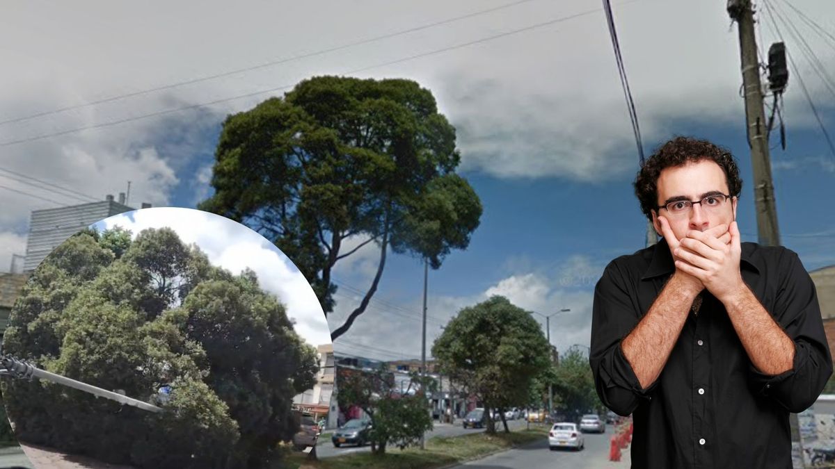 Árbol gigante cayó sobre un taxi en Fontibón