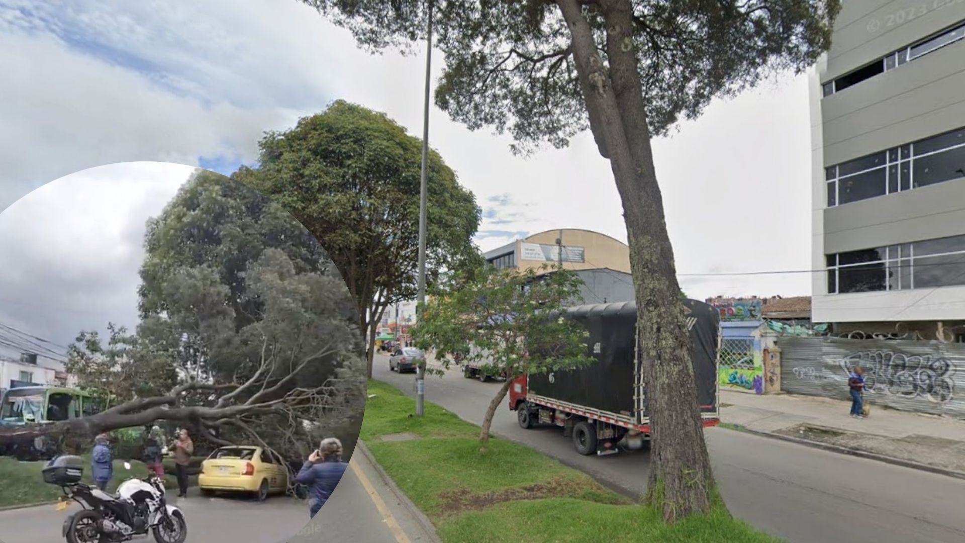 Árbol gigante cayó sobre un taxi en Fontibón y casi manda al “canario” al otro mundo