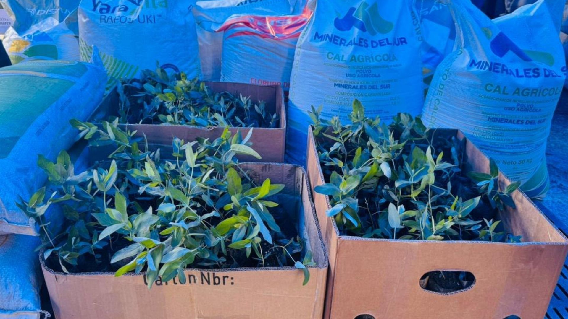 Abono para productores de Cundinamarca producción más barata