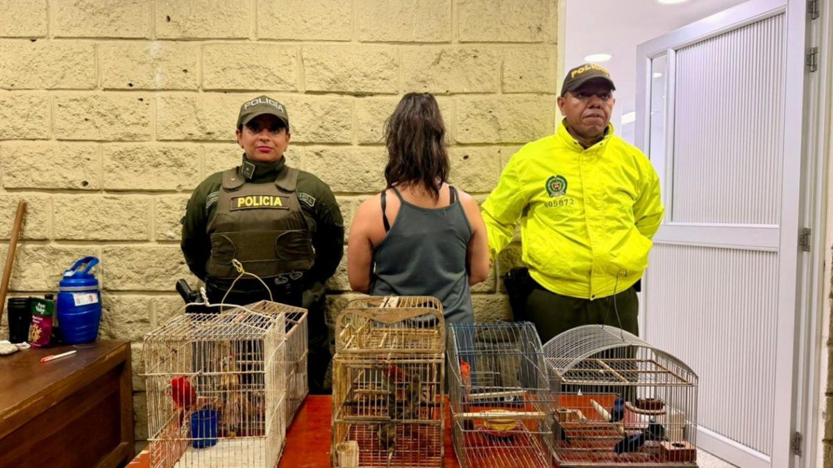 Mexicana capturada por el delito de tráfico de fauna silvestre