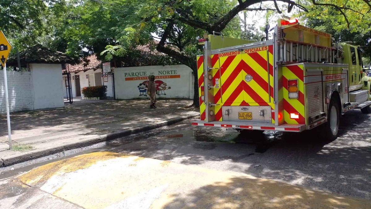 Atención de emergencia por abejas