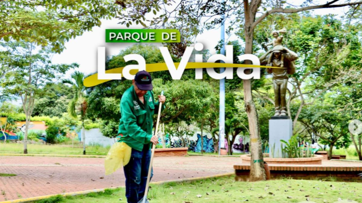 Sembratón en el Parque de la Vida de Bucaramanga