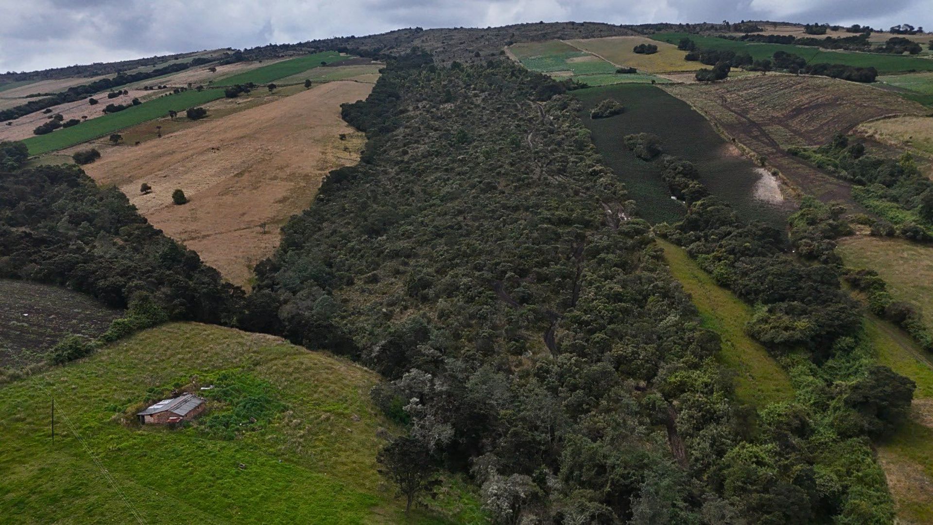 La autoridad ambiental mantiene un acompañamiento constante tanto a entidades públicas como a empresas privadas.