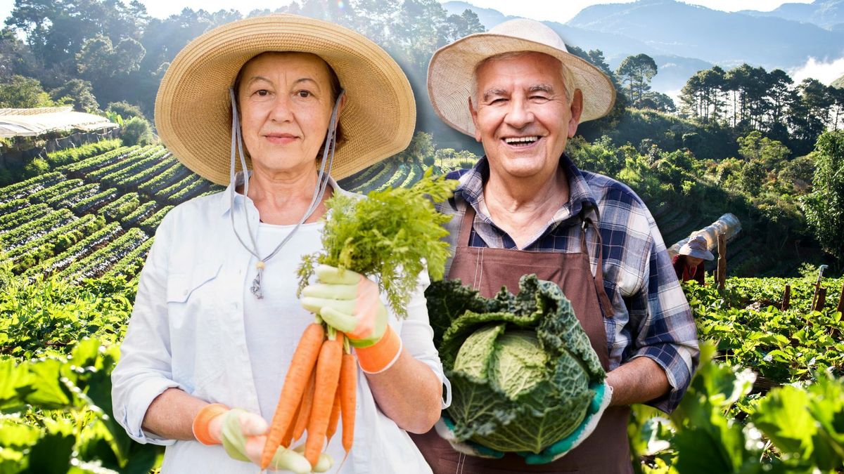 ¿Cómo inscribirse para vender productos al Estado en Ibagué?