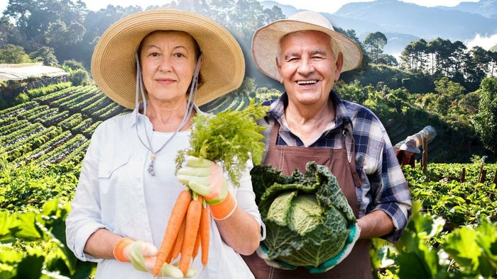 ¿Cómo inscribirse para vender productos al Estado en Ibagué?