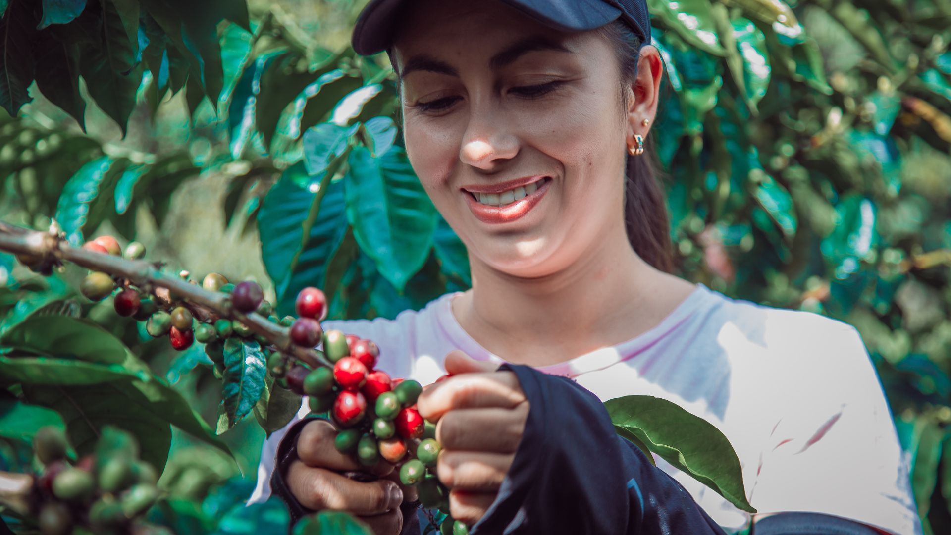 ¿Le gusta el café? Tolima ofrece cursos gratis con pocos cupos disponibles