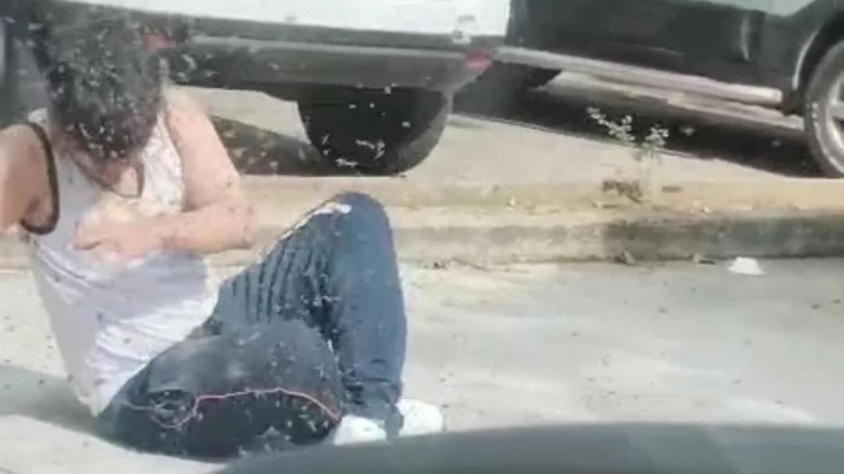 Joven atacado por abejas en la ciudad de Cúcuta