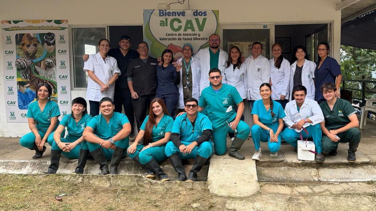 Equipo de veterinaria de la UCC y de la Cdmb