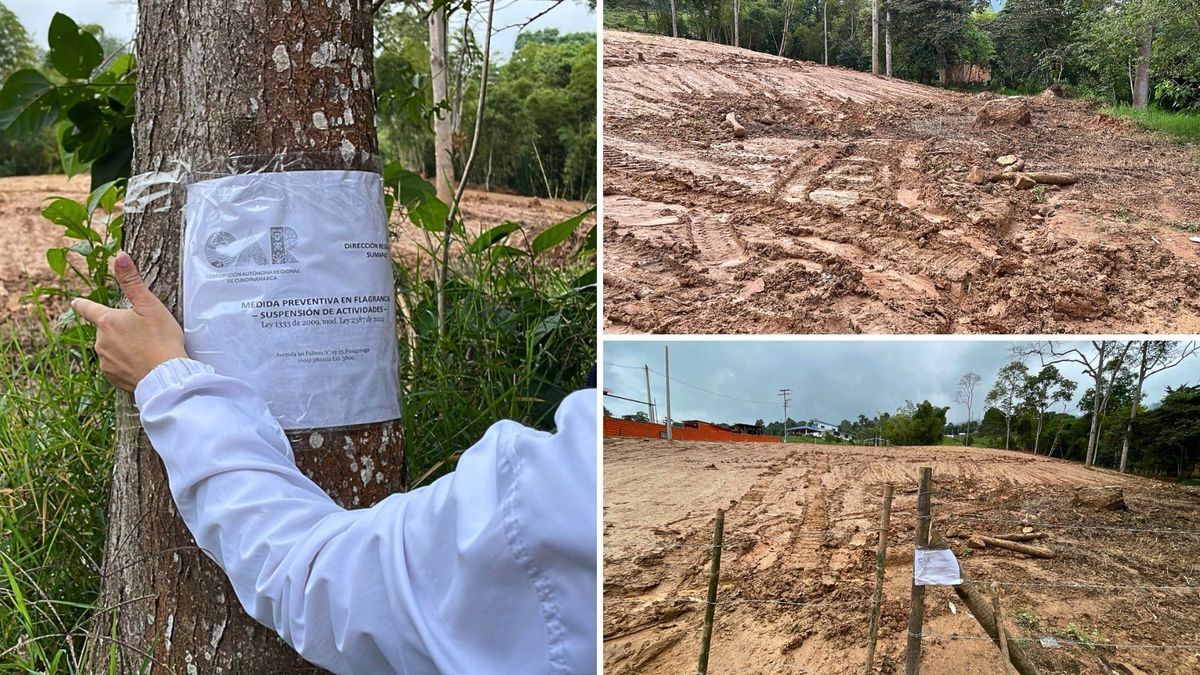 Más de 3.600 metros cuadrados impactados y cerca de 17.623 toneladas de material acumulado