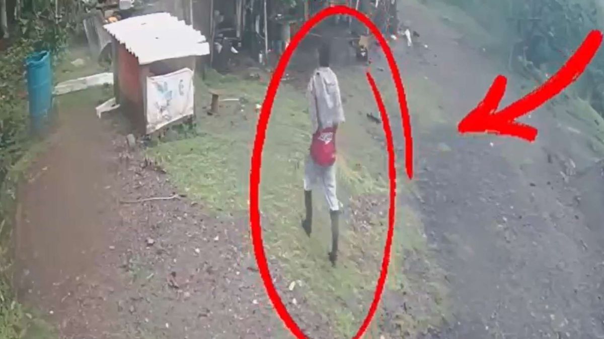 Presunto responsable de muerte de perro en Boyacá