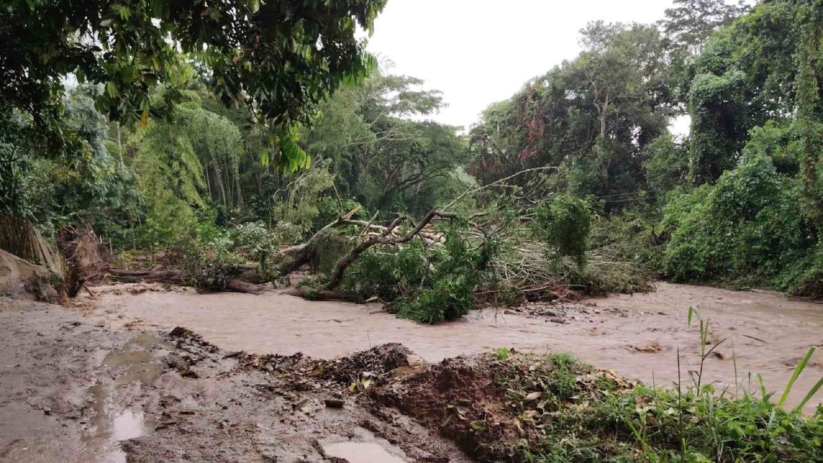 Producción agrícola del Huila afectada por las lluvias.