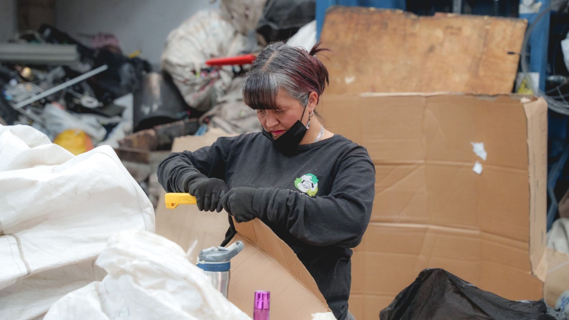 Sena abre puertas a recicladores: certificación gratis y beneficios