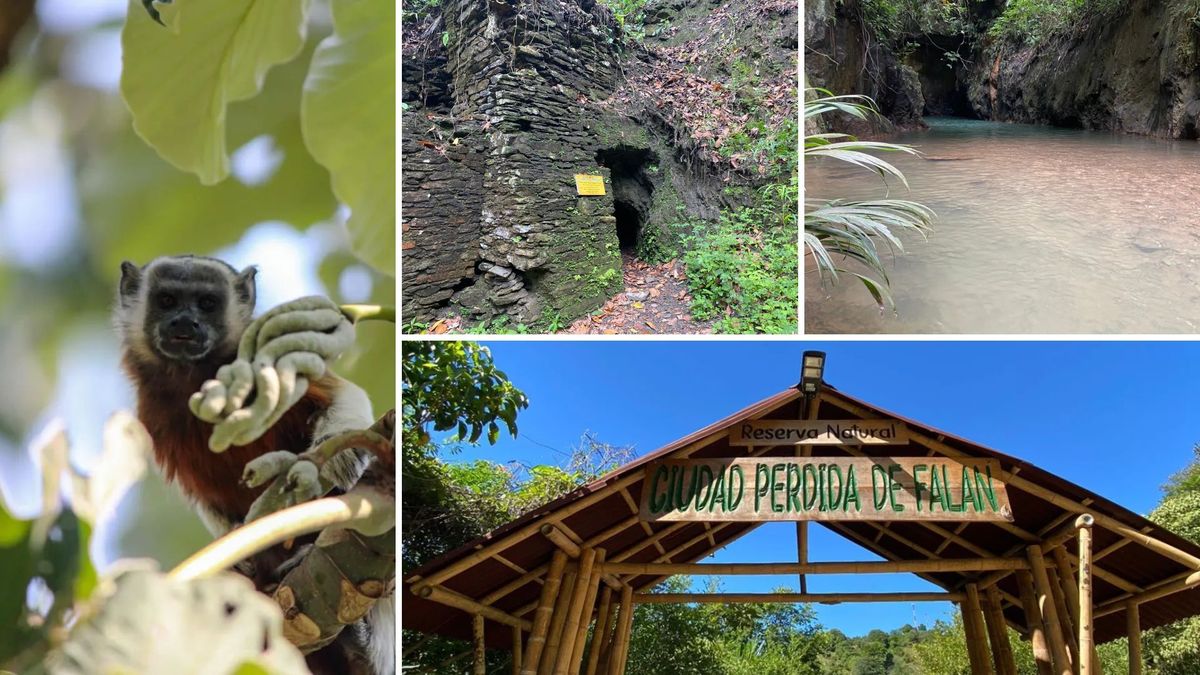 ¿Cómo llegar a la Ciudad Perdida de Falan desde Bogotá?