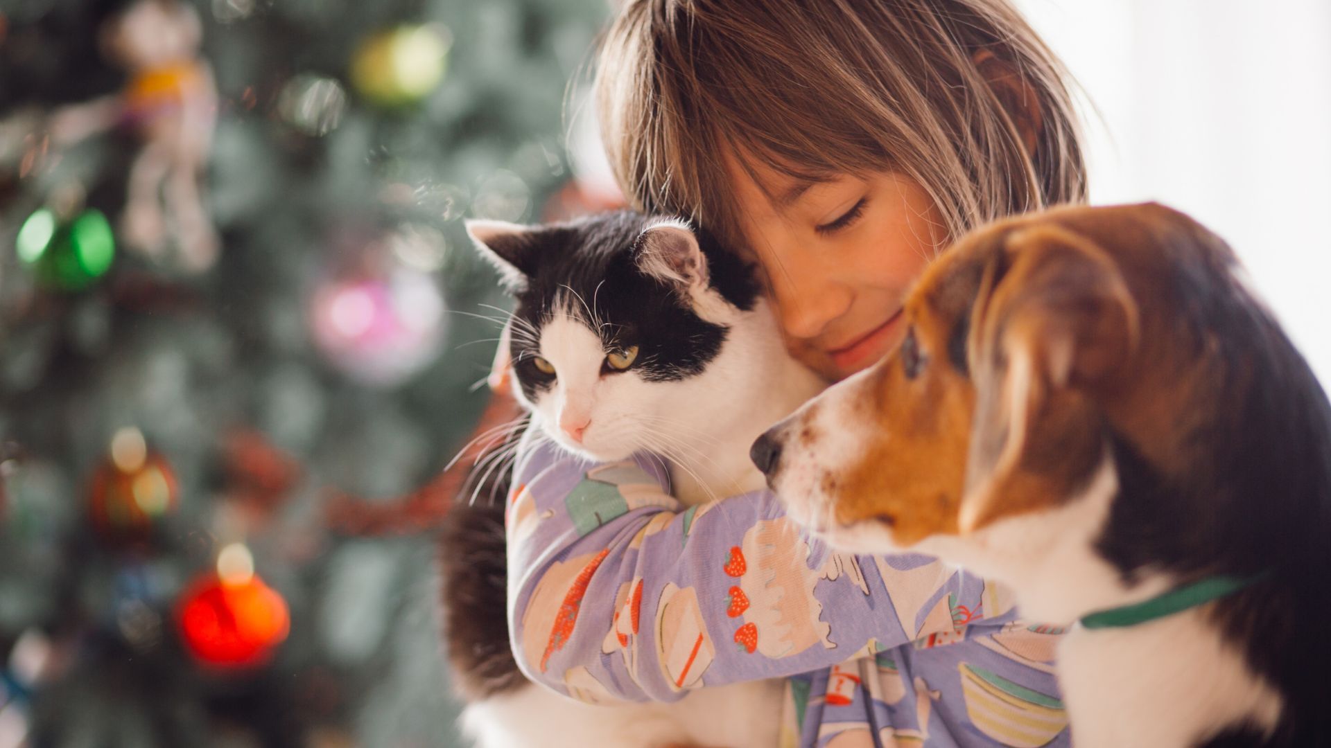 Estas jornadas hacen parte de la estrategia distrital “Corta a tiempo: esteriliza”