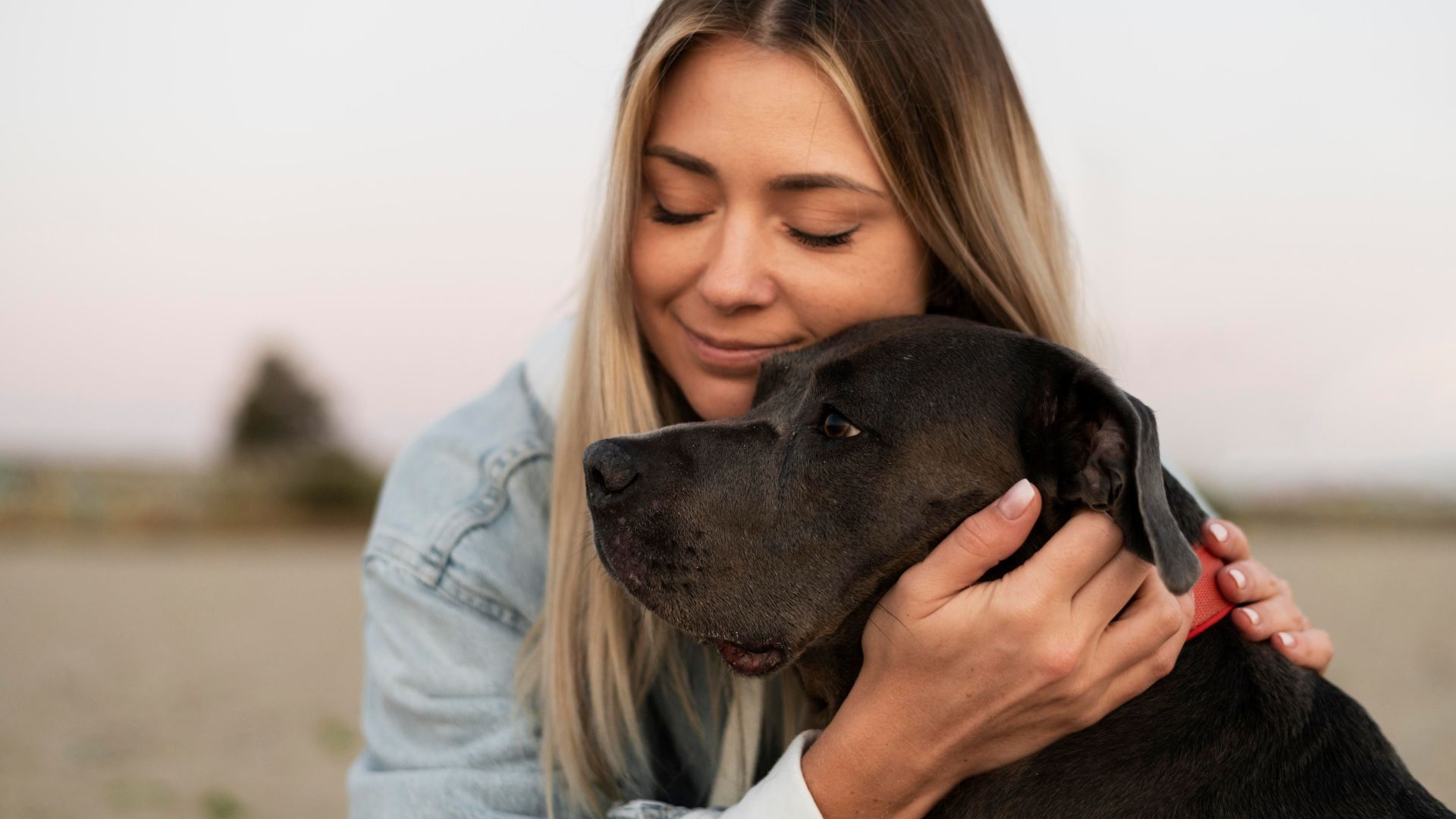 Jornada de adopción en Bogotá: fecha, lugar y cómo llegar