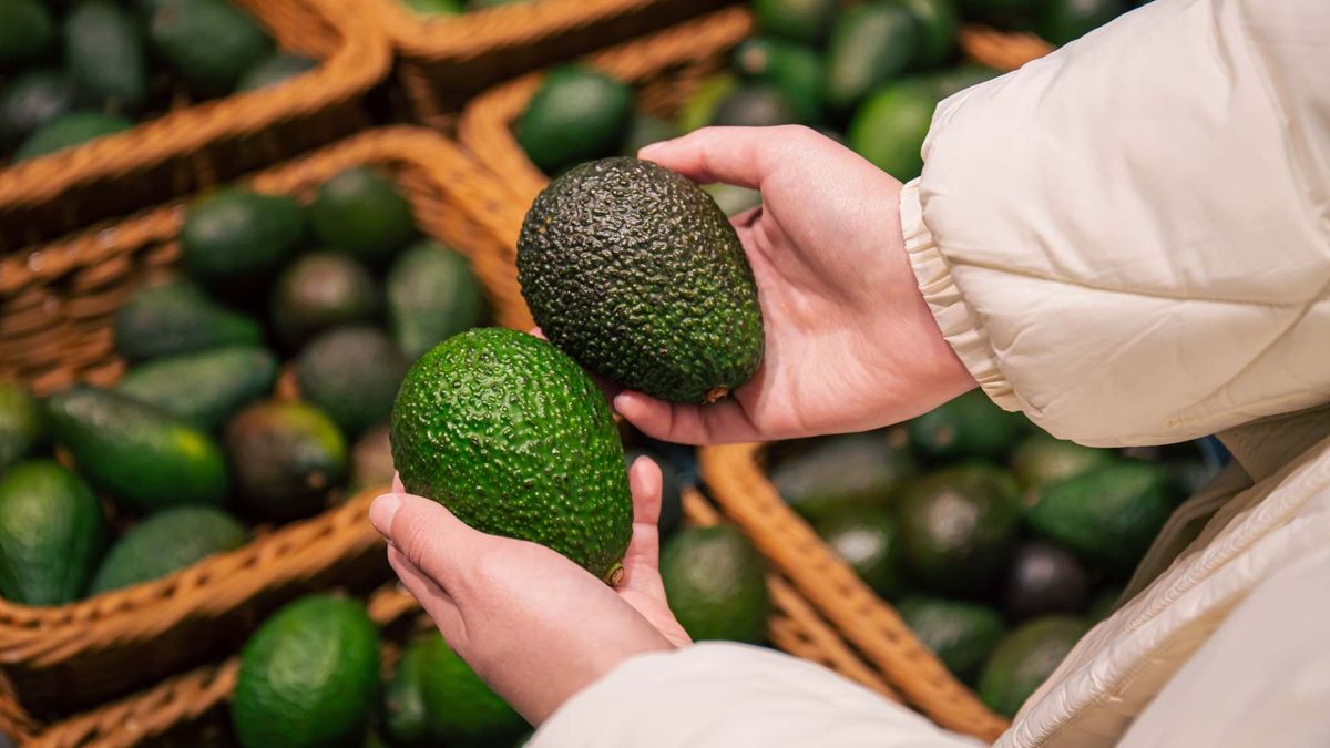Aguacate hass