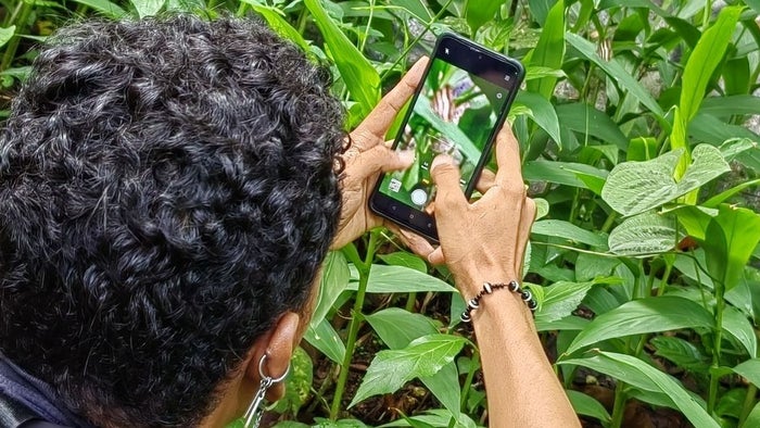 Reto naturalista en Bucaramanga