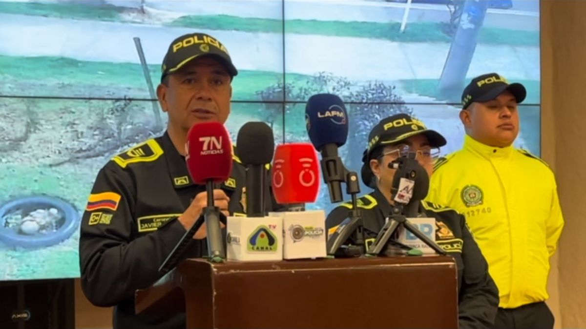 Captura a joven que hurtó $50 millones en dulces