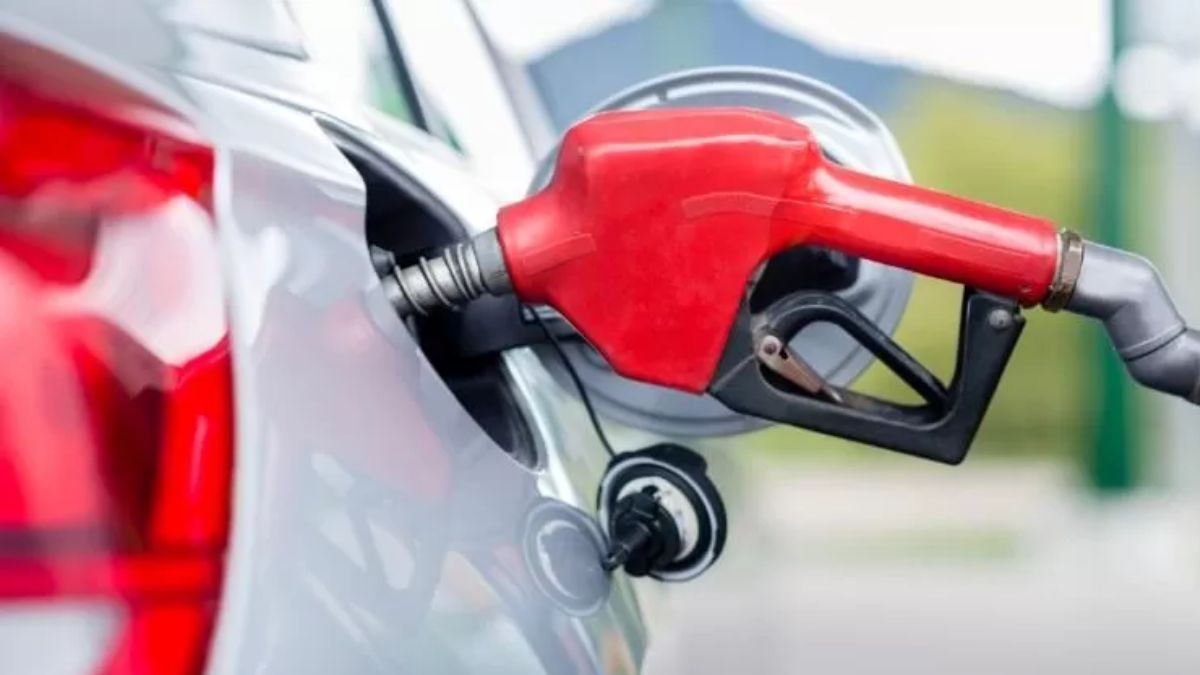 Sector distribuidor de combustibles
