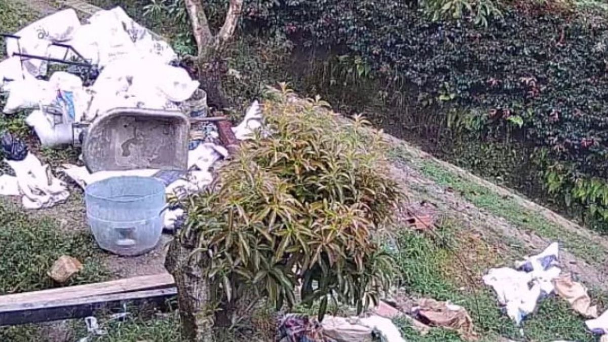 Perros maltratados en Antioquia