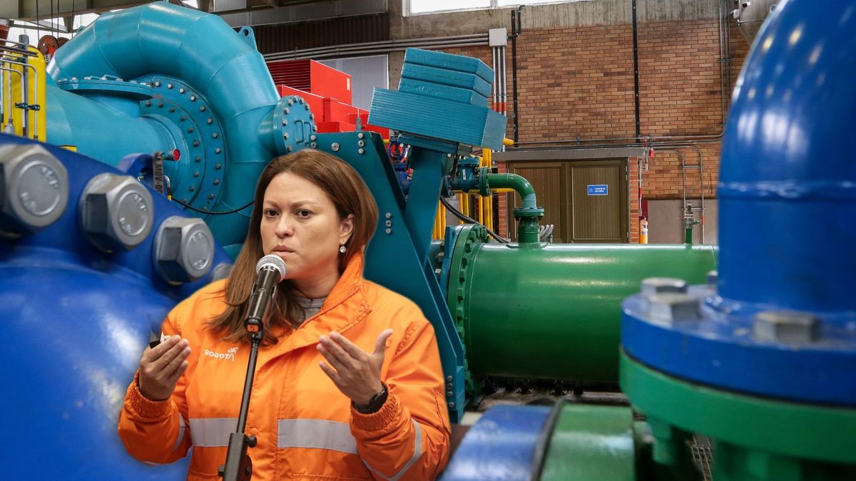 Natasha Avendaño, gerente del Acueducto de Bogotá