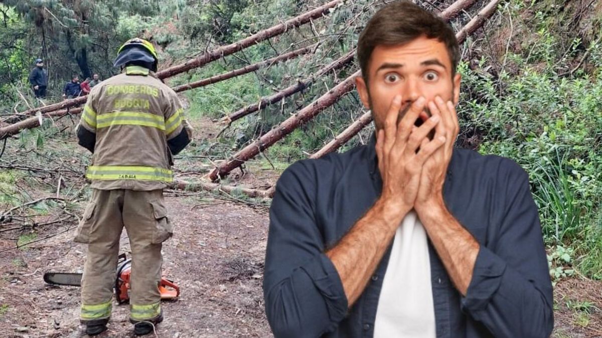 Árbol se cayó en La Calera - hombre asustado