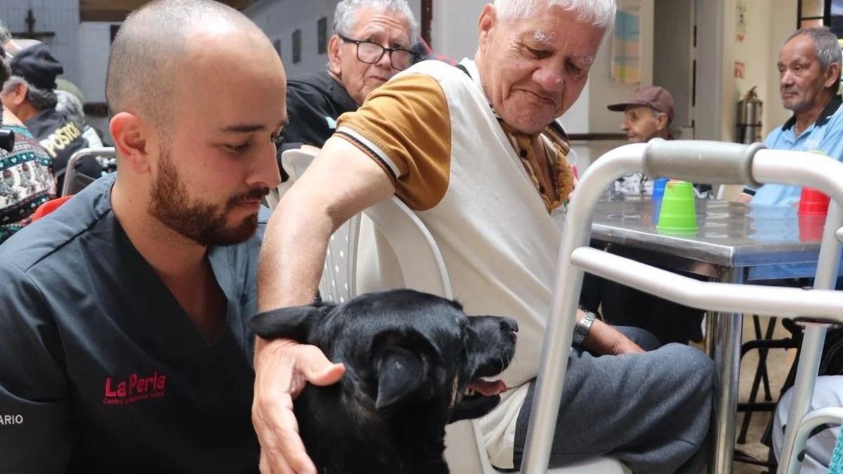 Perritos acompañan a adultos mayores en Medellín