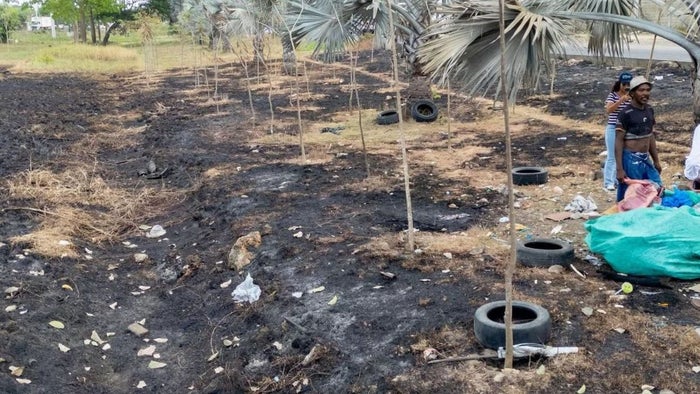 Zona verde del barrio El Pozón