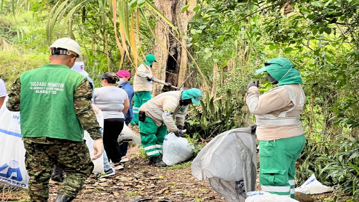 Árboles Huila