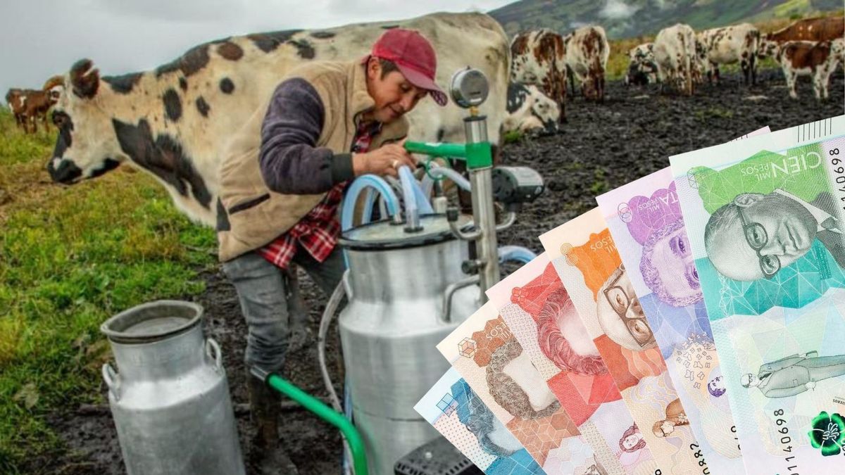 ¿Cómo acceder a la convocatoria ‘Activa El Campo con Inclusión Financiera Rural’?