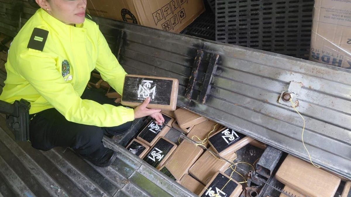 Golpe al narcotráfico en Caldas, Antioquia: incautaron cocaína avaluada en 17 millones de euros