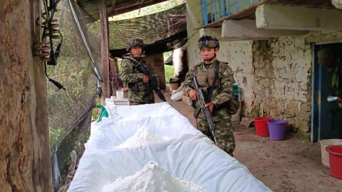 Laboratorios de cocaína en el Valle de Tenza